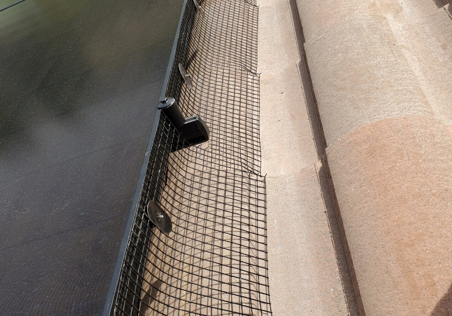 reflections-service-bird-proofing